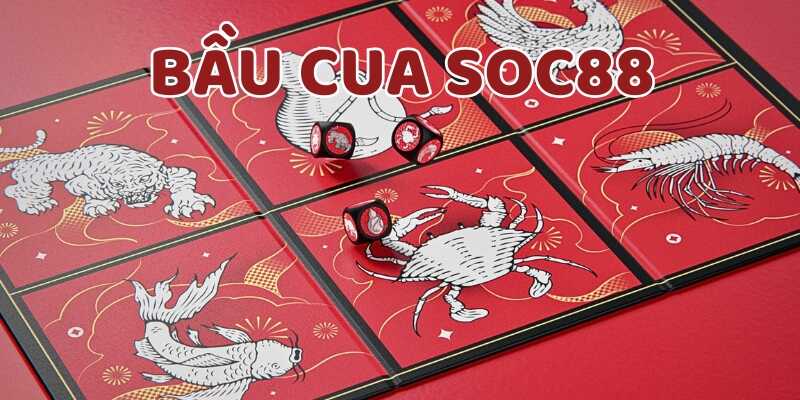 Tham khảo thông tin cơ bản về Bầu cua Soc88
